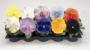 Seminte profesionale VIOLA - PANSELUTE - seria INSPIRE - imagine 33868